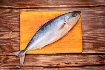 raw mackerel. prepare dishes from fish.