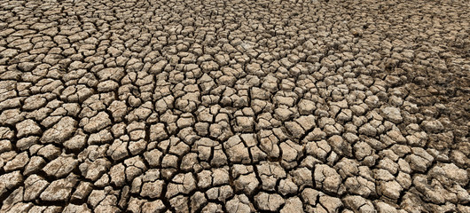 Cracked and dry soil in arid areas landscape, Drought crisis in Thailand