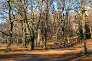 Fototapeta premium Riverside Park with Trees and Colorful Leaves in Morningside Heights of New York City