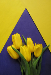 Yellow fresh tulips in a bouquet on a yellow and violet background. Greetings, celebration, romance concept. Copy space for your text