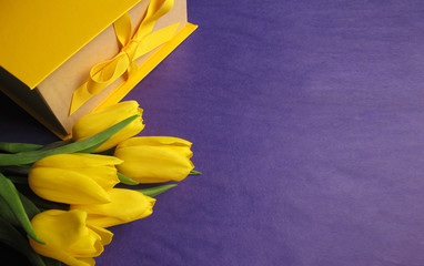 Yellow fresh tulips in a bouquet and a gift box on a violet background. Greetings, celebration, romance concept. Copy space for your text
