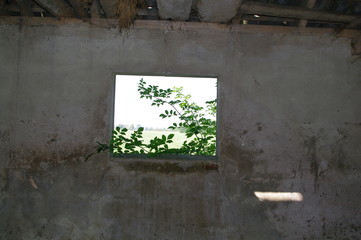 Fenster, Ruine, alt, heruntergekommen