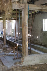 Ruine, alt, Gemäuer, lost place, Stall