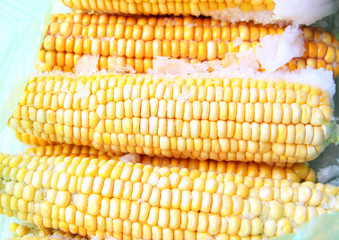 The corn is frozen. Cold food Yellow grains. Corncob.