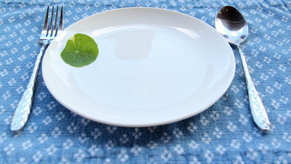 A small green leaves decorated on a white ceramic plate with spoon and fork on blue placemat.