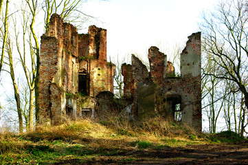 Burg, Schloss, Gemäuer, alt, Ruine