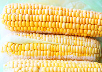The corn is frozen. Cold food Yellow grains. Corncob.