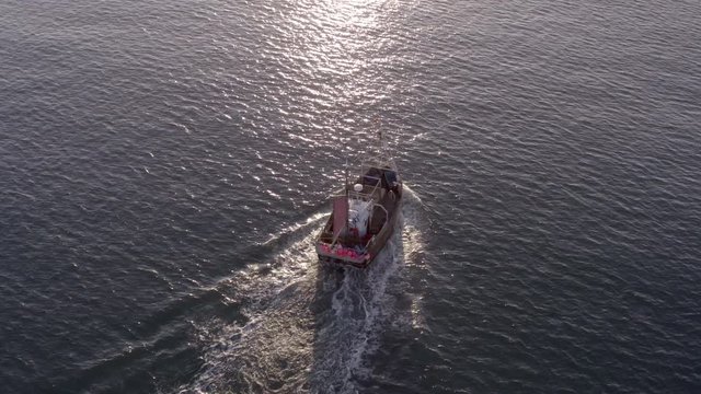 Fishing Boat in the Early Morning Heading Out to Sea