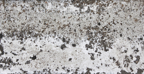 stone processed carved for the decoration