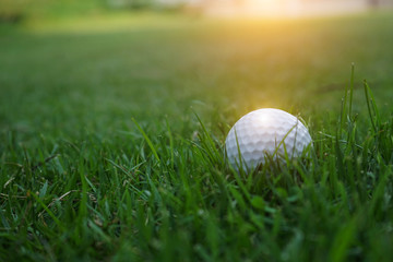 Golf ball on green in beautiful golf course at sunset background.