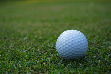 Golf ball on green in beautiful golf course at sunset background.