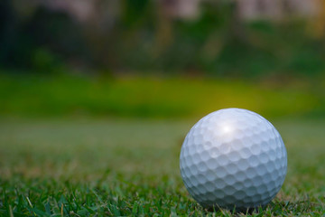 Golf ball on green in beautiful golf course at sunset background.