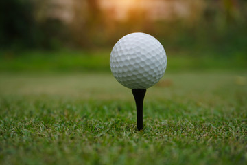 Golf ball on tee ready to be shot.