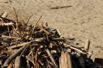 wood on beach