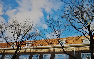 Trees, building with blue sky and clouds - Amsterdam, the Netherlands