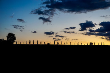 Panorama Baum und Mond - Blaue Stunde Neuenmarkt