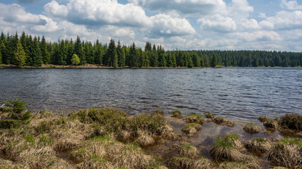 Landscape of dam and above it forest. Summer green landscape and water surface.