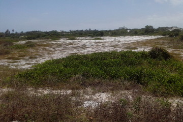 landscape with river