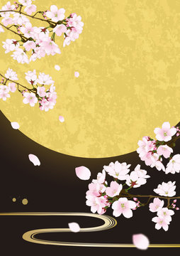 1 2 件の最適な 桜 さくら 和柄 和風 和 花見 和風背景 画像 ストック写真 ベクター Adobe Stock