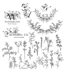 Set of vector engraving flowers