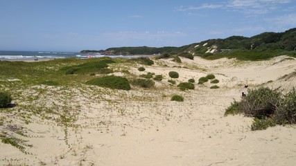 Dünenlandschaft an der Küste Südafrika