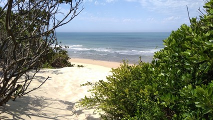 Blick auf Sand Küste Sanddünen Südafrika Meer Strand