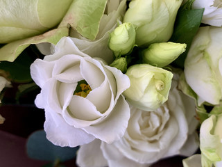 Background texture: open buds of white roses. Blooming white petals, beautiful roses. Bouquet of fresh, spring flowers.