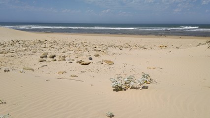 Kahler weiträumiger menschenleerer Strand Sand Küste Sanddünen Südafrika Meer