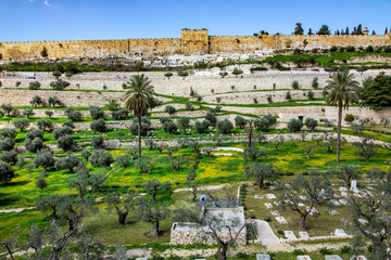 Fototapeta na wymiar View of the Golden Gate of the walls of the old city of from the Mount of Olives. Mount of Olives - since biblical times, there was a Jewish cemetery. Middle East, Jerusalem, Israel.