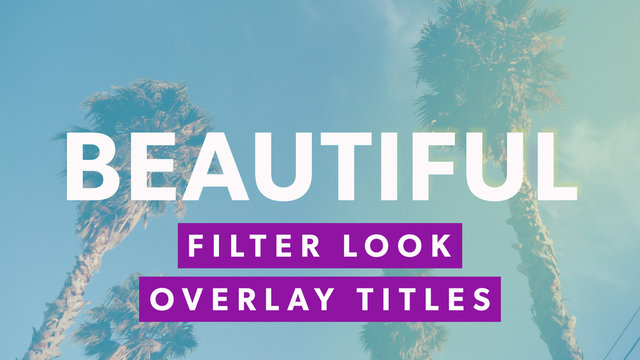 Filter Look Overlay Titles