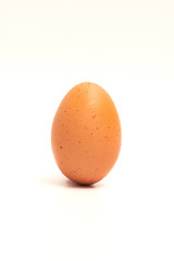 Single brown eggs isolated on white background