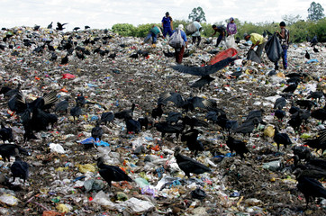 garbage recycling material collectors