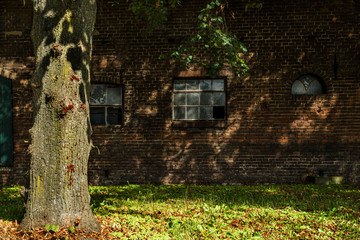 Fenster, Bauernhaus, Bauernhof, alt, Ruine
