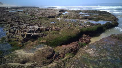 Felsenküste bzw. felsige Küste mit Algen bei Ebbe bzw. Niedrigwasser