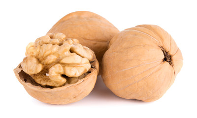 a frash Walnuts isolated on white background