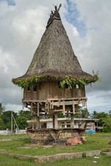 Traditional wooden construction of Fataluku people in Lospalos, Lauten. Timor Leste (East Timor). Cow lying down.