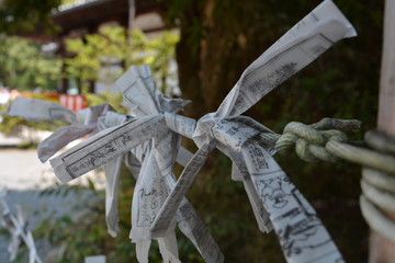 Rollos d ela suerte en templo japonés
