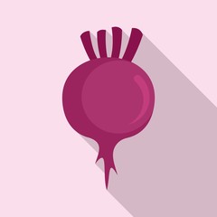 Diet beet icon. Flat illustration of diet beet vector icon for web design