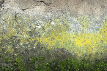 Grunge wall