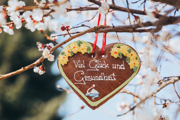 Traditional gingerbread heart with text luck and healt, taken in Austria