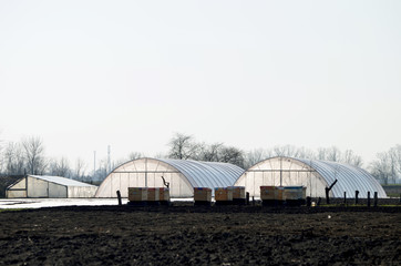 Greenhouses , farming photo