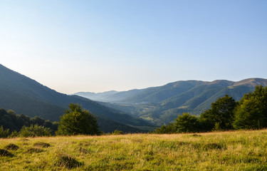 Late summer day on Krasna mountain ridge. Beautiful alpine grassy meadow with clear sky above mountains and forest. Carpathian mountains, Transcarpathia, Ukraine.