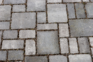 Various gray brick paving stones on a sidewalk