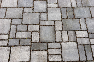 Various gray brick paving stones on a sidewalk