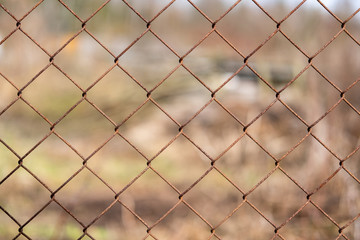 Textural old metal rusty mesh on a background of spring dry grass.