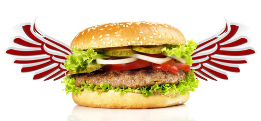 Flying Hamburger - Fast Food