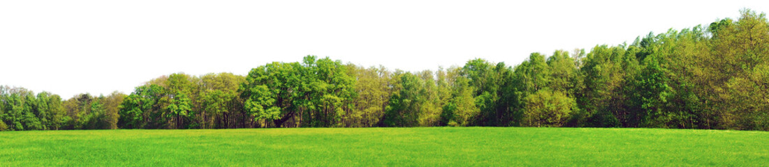 Fototapeta na wymiar Waldrand Panorama im Frühling - Freisteller