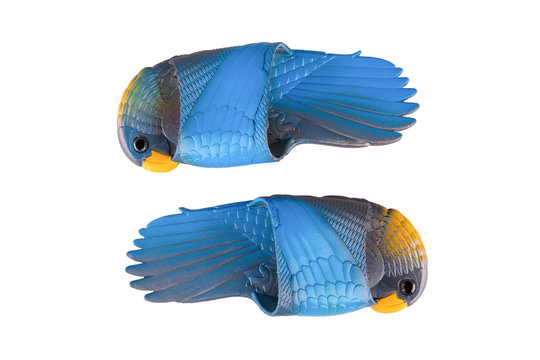 Blue rubber burds