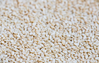 Close-up sesame texture. Natural food background. 