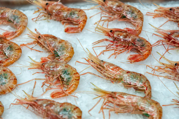 Boiled sea prawns lie on ice crumbs. Shrimp evenly laid out in the cold storefront.